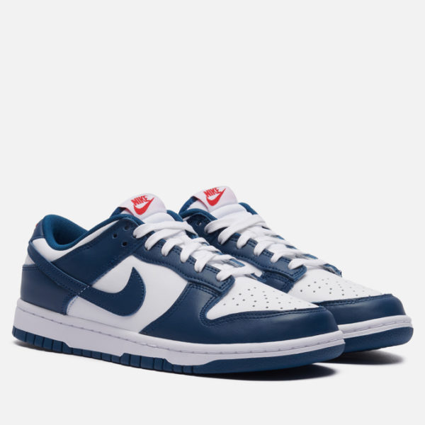 Мужские кроссовки Nike Dunk Low Retro
