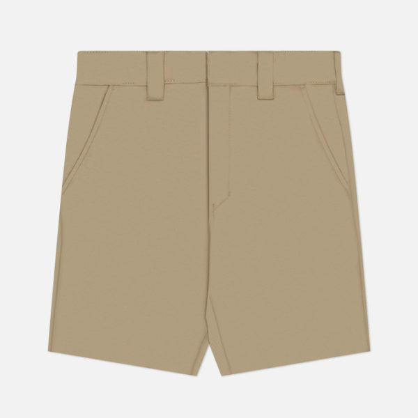 Мужские шорты Dickies Cobden