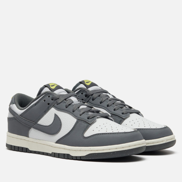 Мужские кроссовки Nike Dunk Low Next Nature
