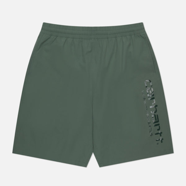 Мужские шорты Carhartt WIP Brame Swim