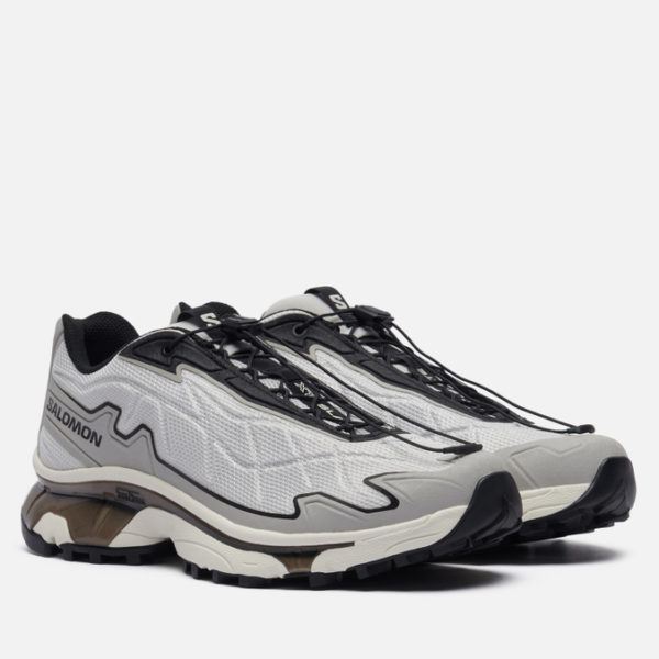 Мужские кроссовки Salomon Advanced XT-Slate