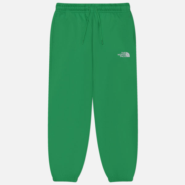 Мужские брюки The North Face Regular Essential Joggers